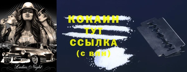 спиды Михайлов