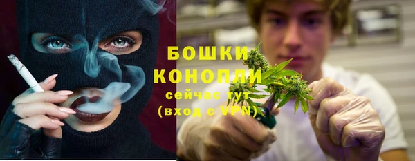 дурь Михайловск