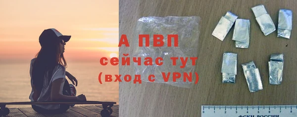 спиды Михайлов