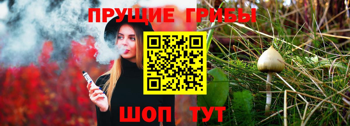 Псилоцибиновые грибы мицелий Чита